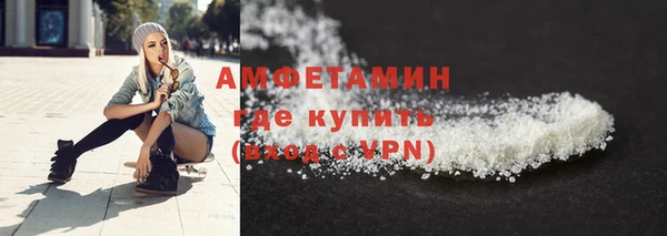 крисы Козельск