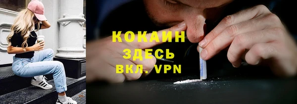 крисы Козельск