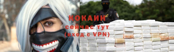 крисы Козельск