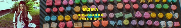 крисы Козельск