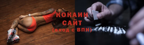 соль ск Козловка
