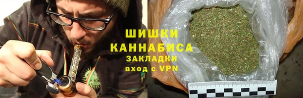 крисы Козельск