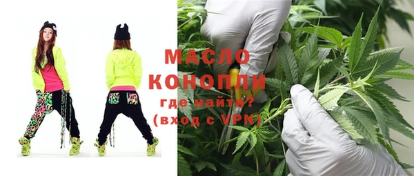 крисы Козельск