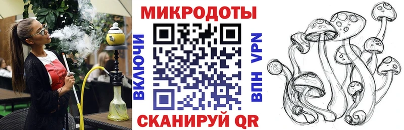 Галлюциногенные грибы Psilocybe  Купить  Бутурлиновка 