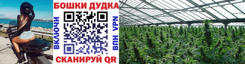 Конопля ГИДРОПОН  Купить где  Бутурлиновка 